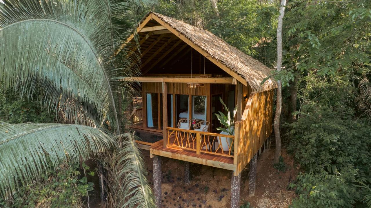 Sweet Songs Jungle Lodge 산 이그나시오 외부 사진