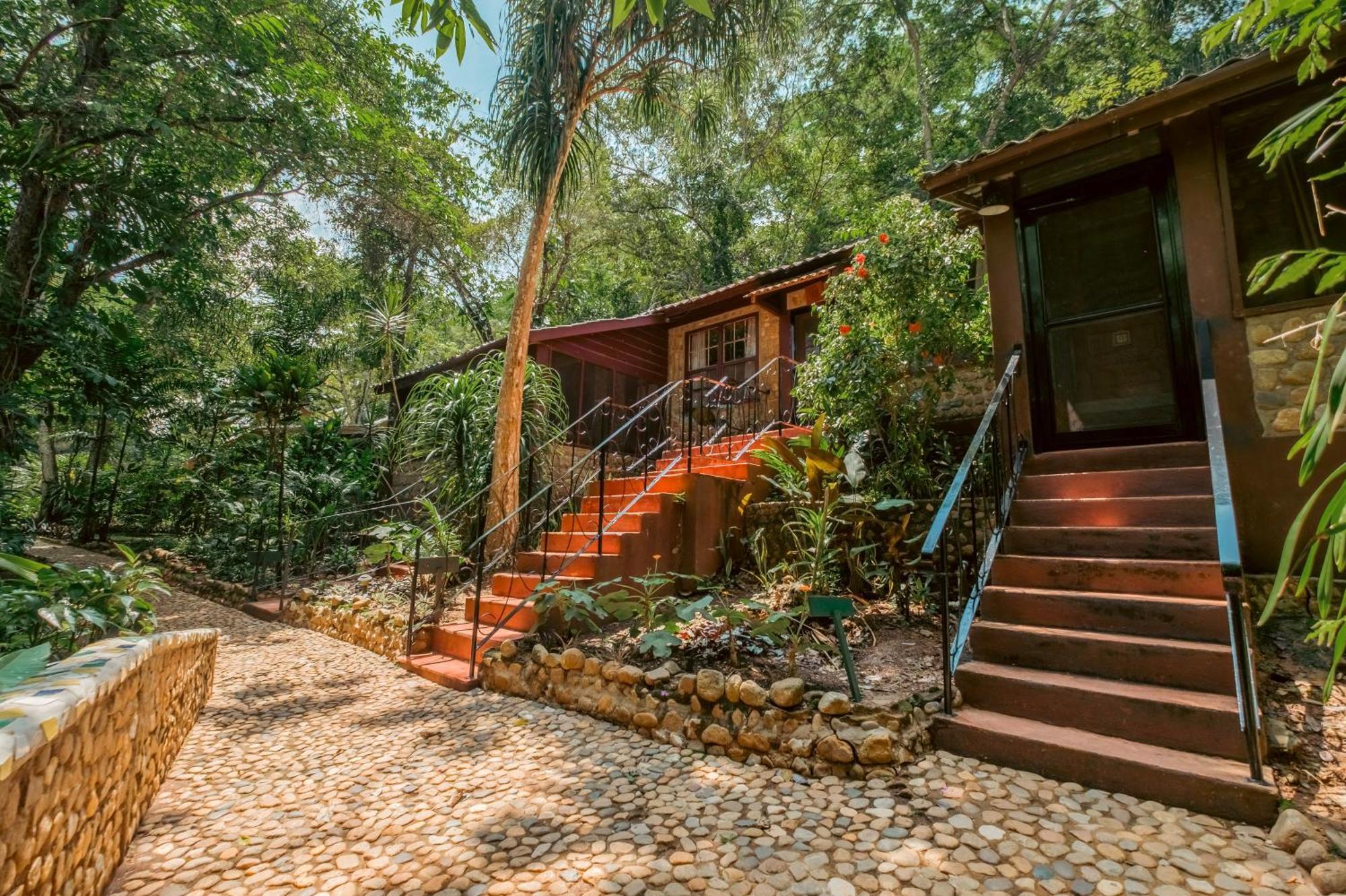Sweet Songs Jungle Lodge 산 이그나시오 외부 사진