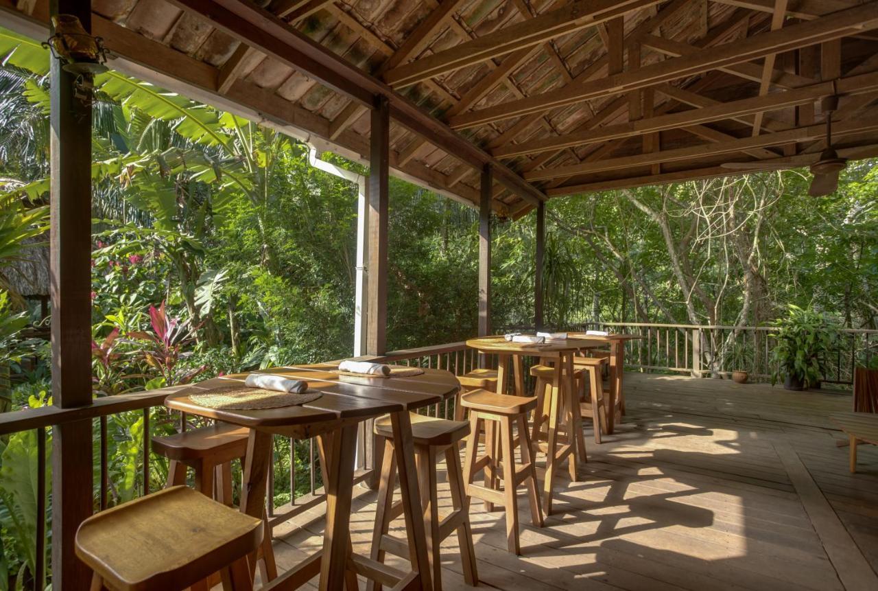 Sweet Songs Jungle Lodge 산 이그나시오 외부 사진
