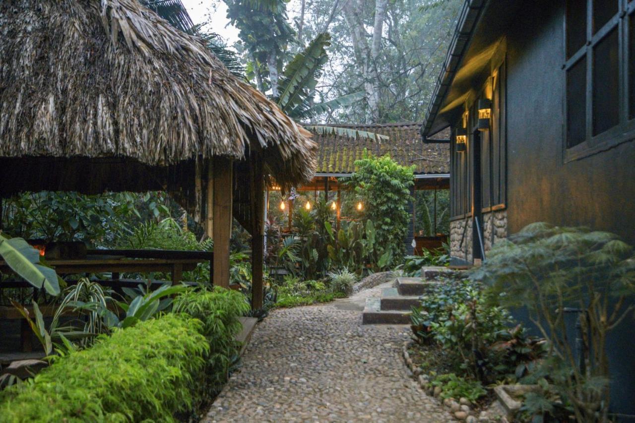 Sweet Songs Jungle Lodge 산 이그나시오 외부 사진